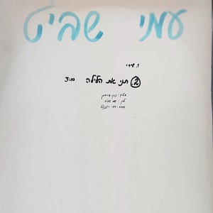 עמי שביט – שירי