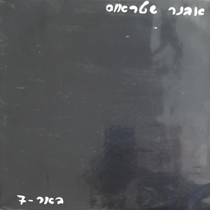 אבנר שטראוס – באר 7 (1980)