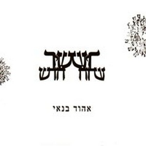 אהוד בנאי – שיר חדש (2008)