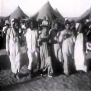 המרוקאים - לא משויכים