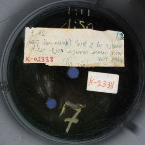 התזמורת הסימפונית של וינה – סימפוניה מס. 2 “דוד” 5-7