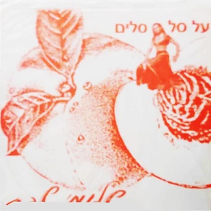 שלומי שבת – על סל סלים (1991)