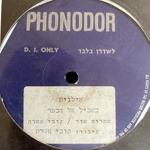 אילנית – בשביל אל הכפר