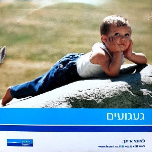 געגועים (2006)