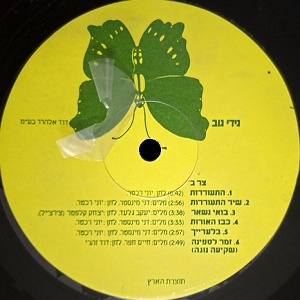 גידי גוב (1978)